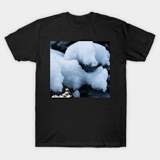 Fresh snow on a pine tree branch T-Shirt